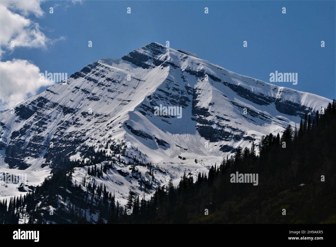 Rocky Mountain Landschaft im Winter mit Schneekappen und blauem Himmel an einem sonnigen Tag Stockfoto