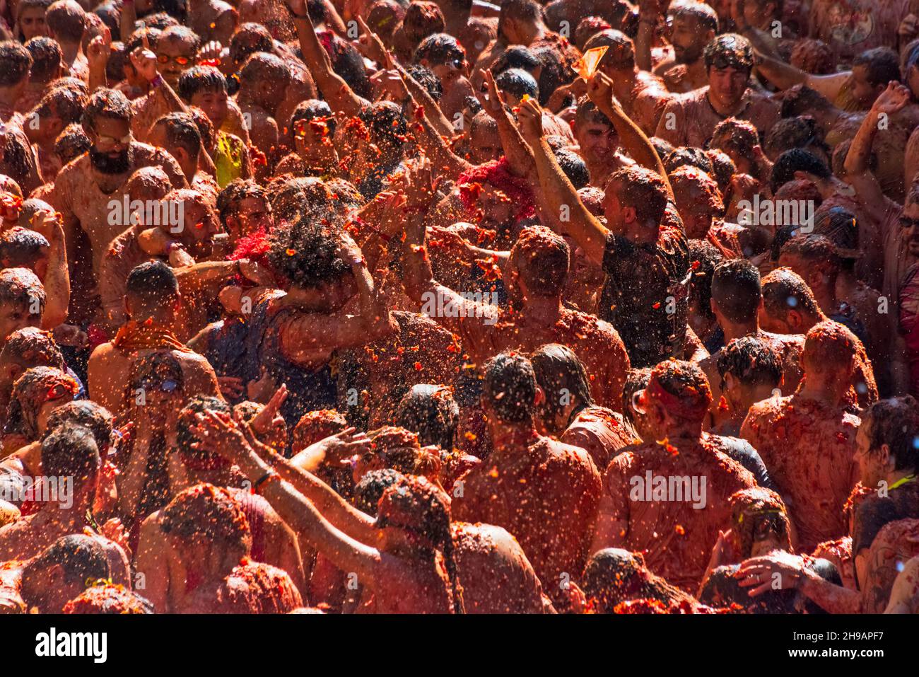 Menschen werfen Tomaten auf La Tomatina (Tomatenfest), Bunol, Provinz Valencia, Spanien Stockfoto