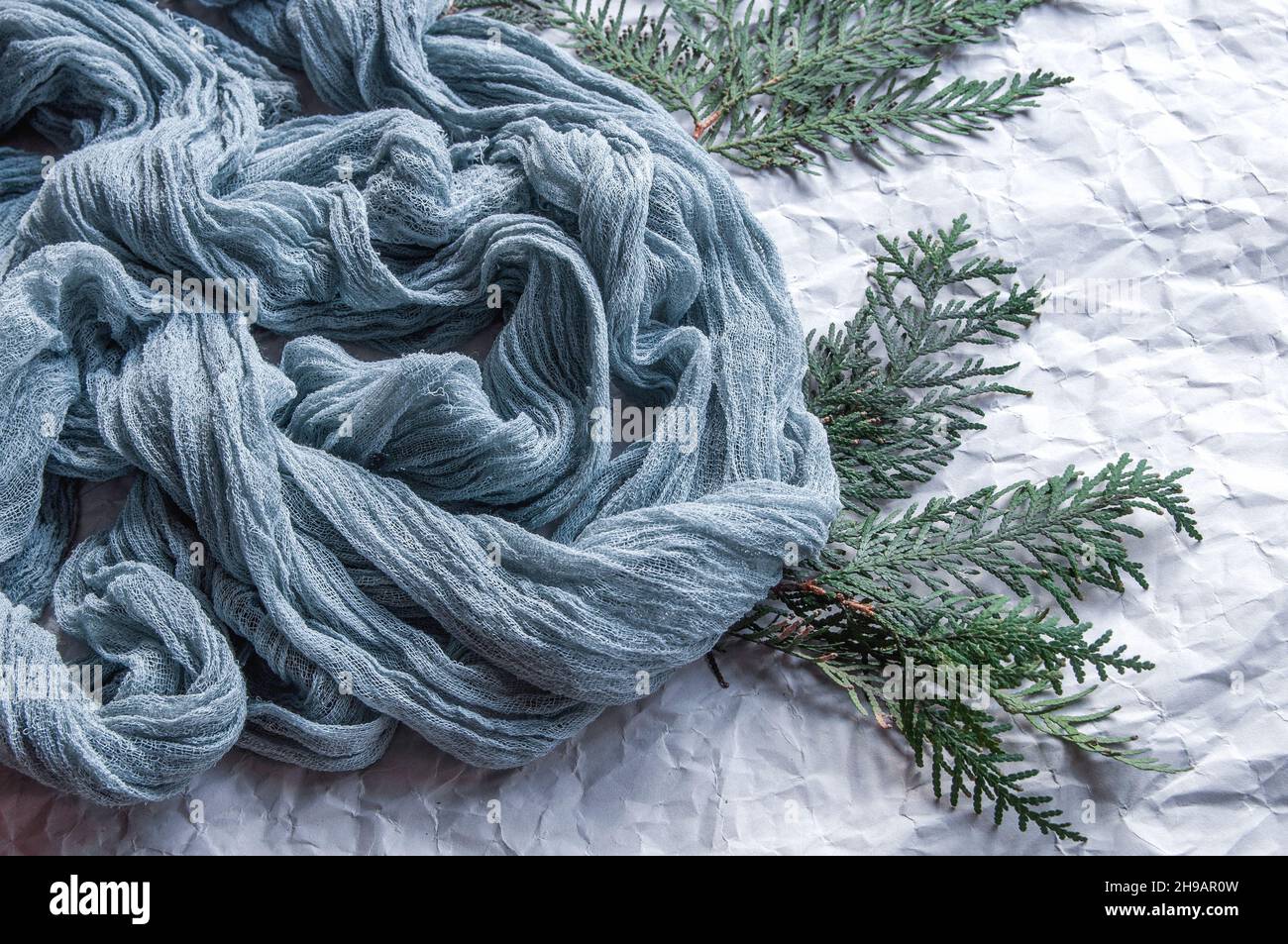 Zerknitterter grauer Hintergrund mit blauem Gazentuch, mit Fichtenzweigen Stockfoto