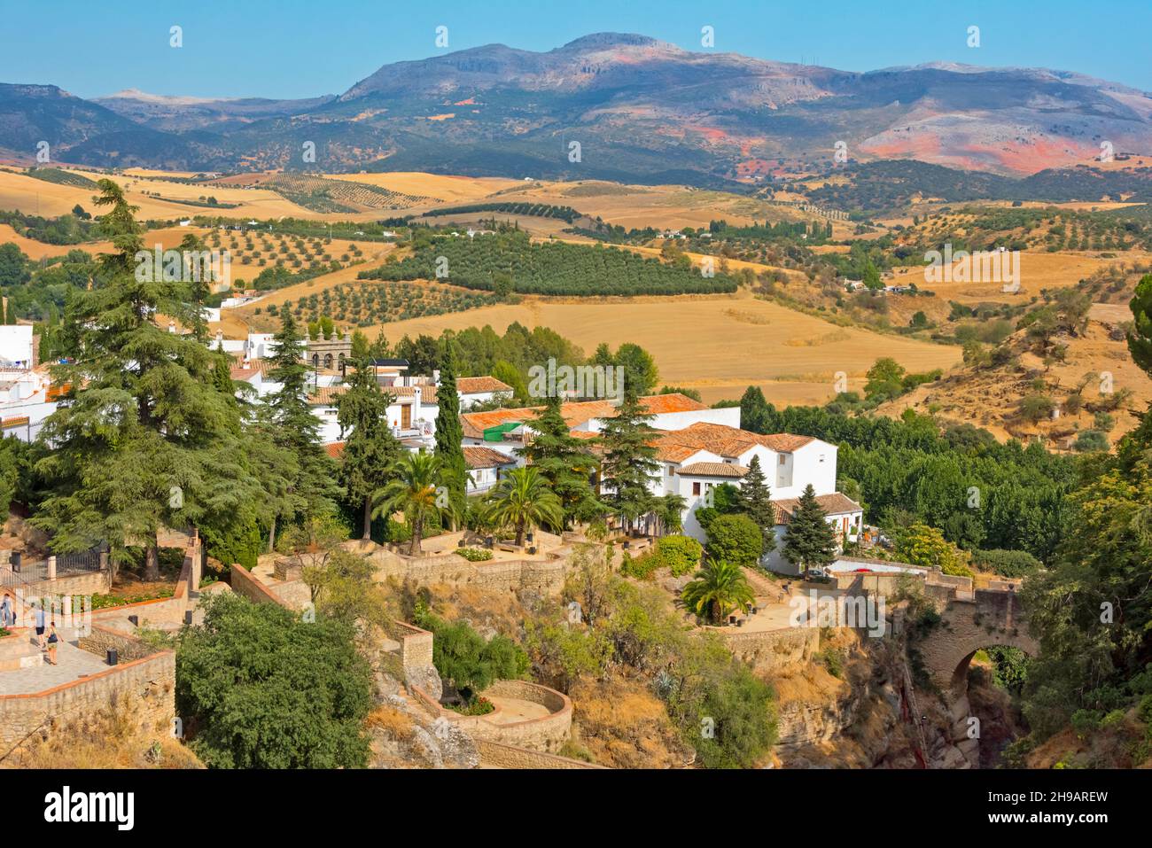 Häuser und Olivenhaine, Ronda, Provinz Malaga, Autonome Gemeinschaft Andalusien, Spanien Stockfoto