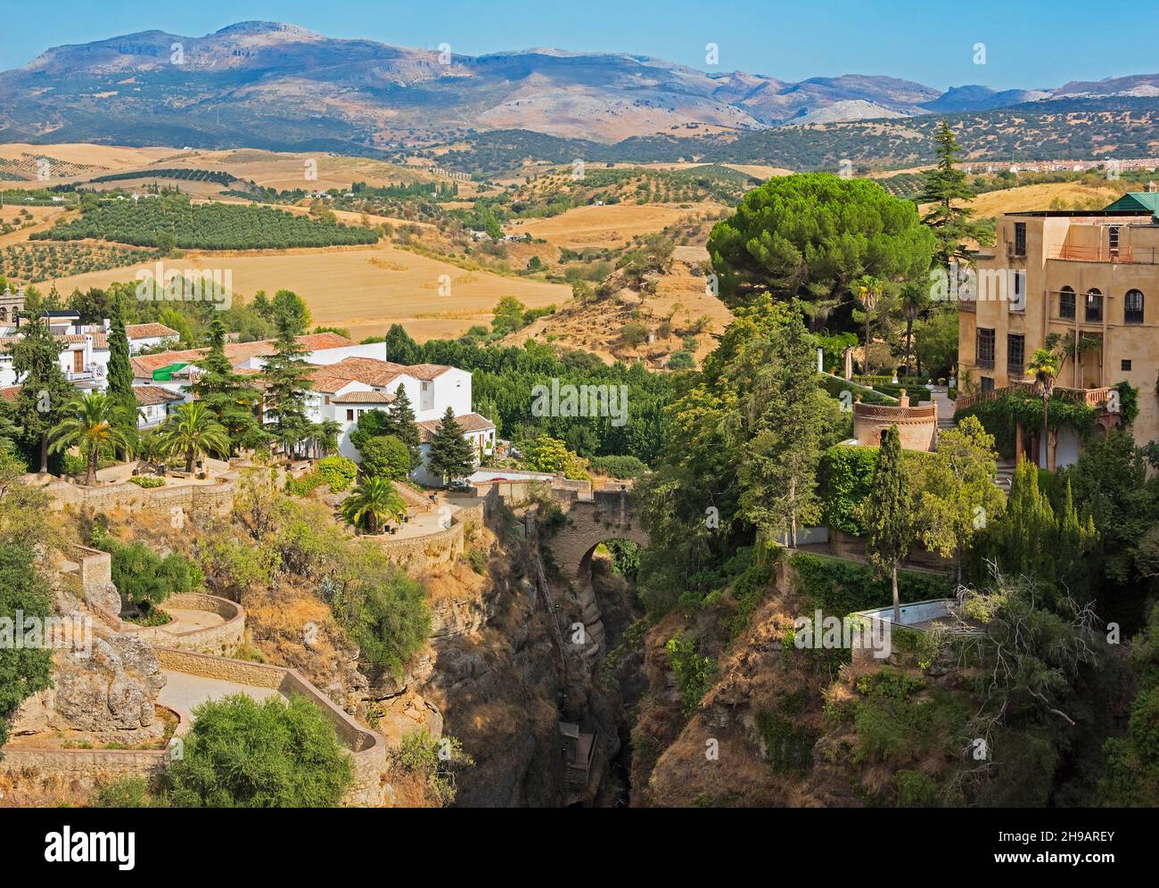 Häuser und Olivenhaine, Ronda, Provinz Malaga, Autonome Gemeinschaft Andalusien, Spanien Stockfoto