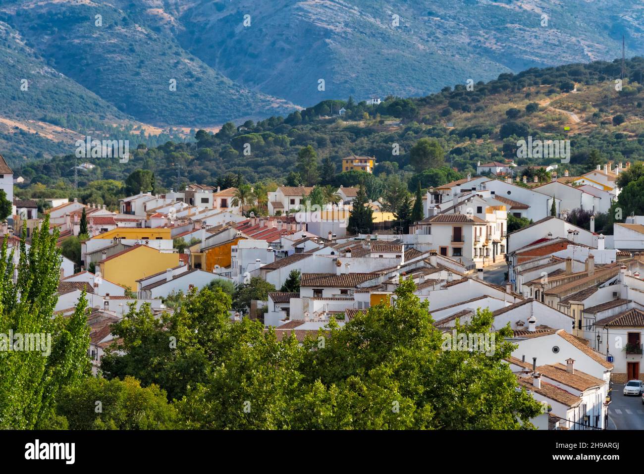 Weiße Häuser von Ronda, Provinz Malaga, Autonome Gemeinschaft Andalusien, Spanien Stockfoto