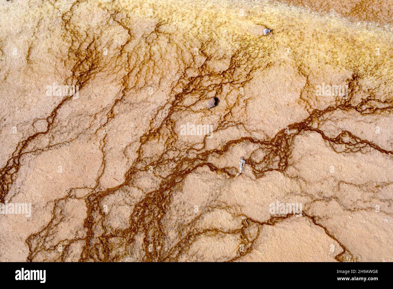 Muster in der Natur sind überall zu finden, aber so einzigartig im Yellowstone Nationalpark. Hier sind Metalle im Boden kombiniert mit geologischen Aktivitäten Stockfoto