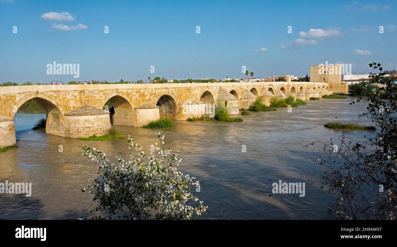 Römische Brücke von Cordoba am Fluss Guadalquivir, Cordoba, Provinz Cordoba, Autonome Gemeinschaft Andalusien, Spanien Stockfoto