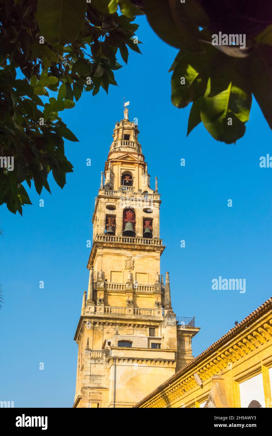 Torre del Alminar Glockenturm der Mezquita-Kathedrale (Moschee-Kathedrale oder große Moschee von Cordoba), Cordoba, Provinz Cordoba, Spanien Stockfoto