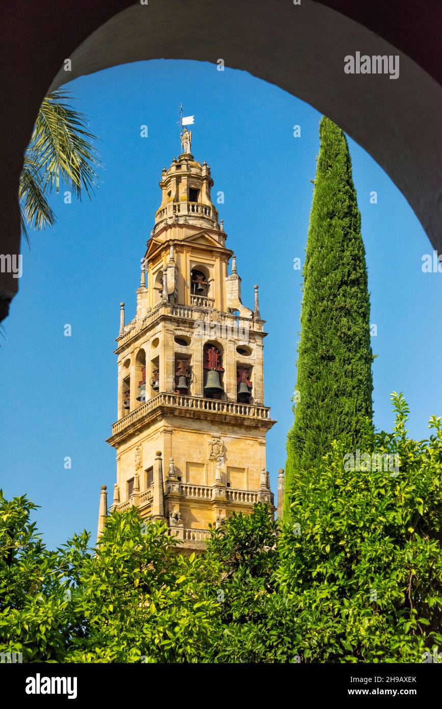 Torre del Alminar Glockenturm der Mezquita-Kathedrale, Cordoba, Provinz Cordoba, Autonome Gemeinschaft Andalusien, Spanien Stockfoto
