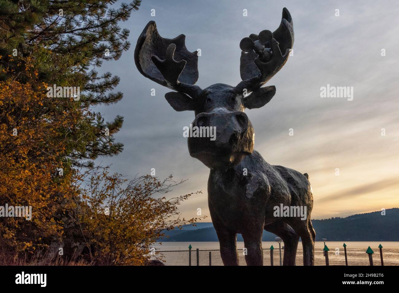Elchskulptur von Lake Coeur d'Alene bei Sonnenuntergang, Idaho State, USA (McEuen Dog Park) Stockfoto