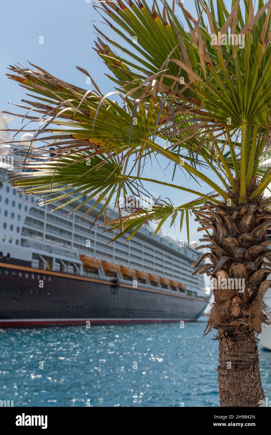 Nassau, Bahamas - 14. Mai 2019: Das Disney Dream-Schiff dockte an der Prince George Wharf an. Palmen und türkisfarbenes Wasser im Vordergrund. Blauer Himmel in t Stockfoto