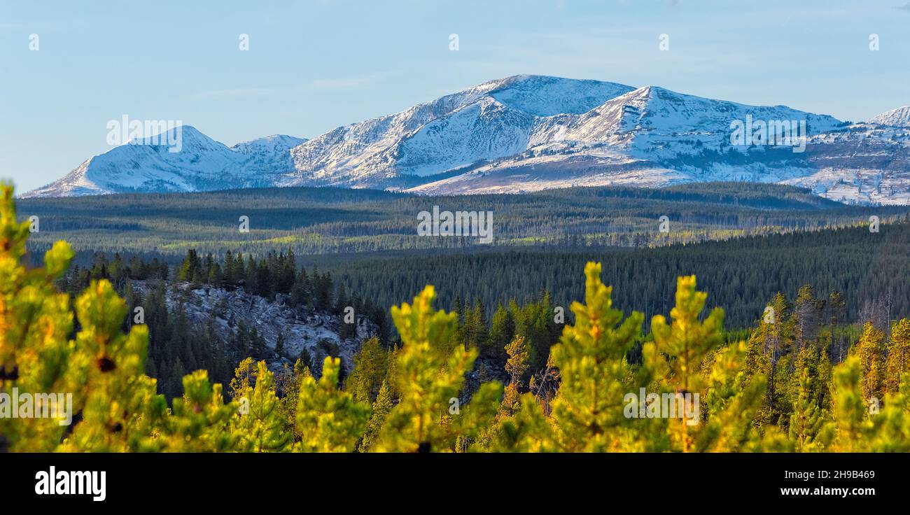 Schneebedeckter Berg mit Wald, Yellowstone National Park, Wyoming State, USA Stockfoto