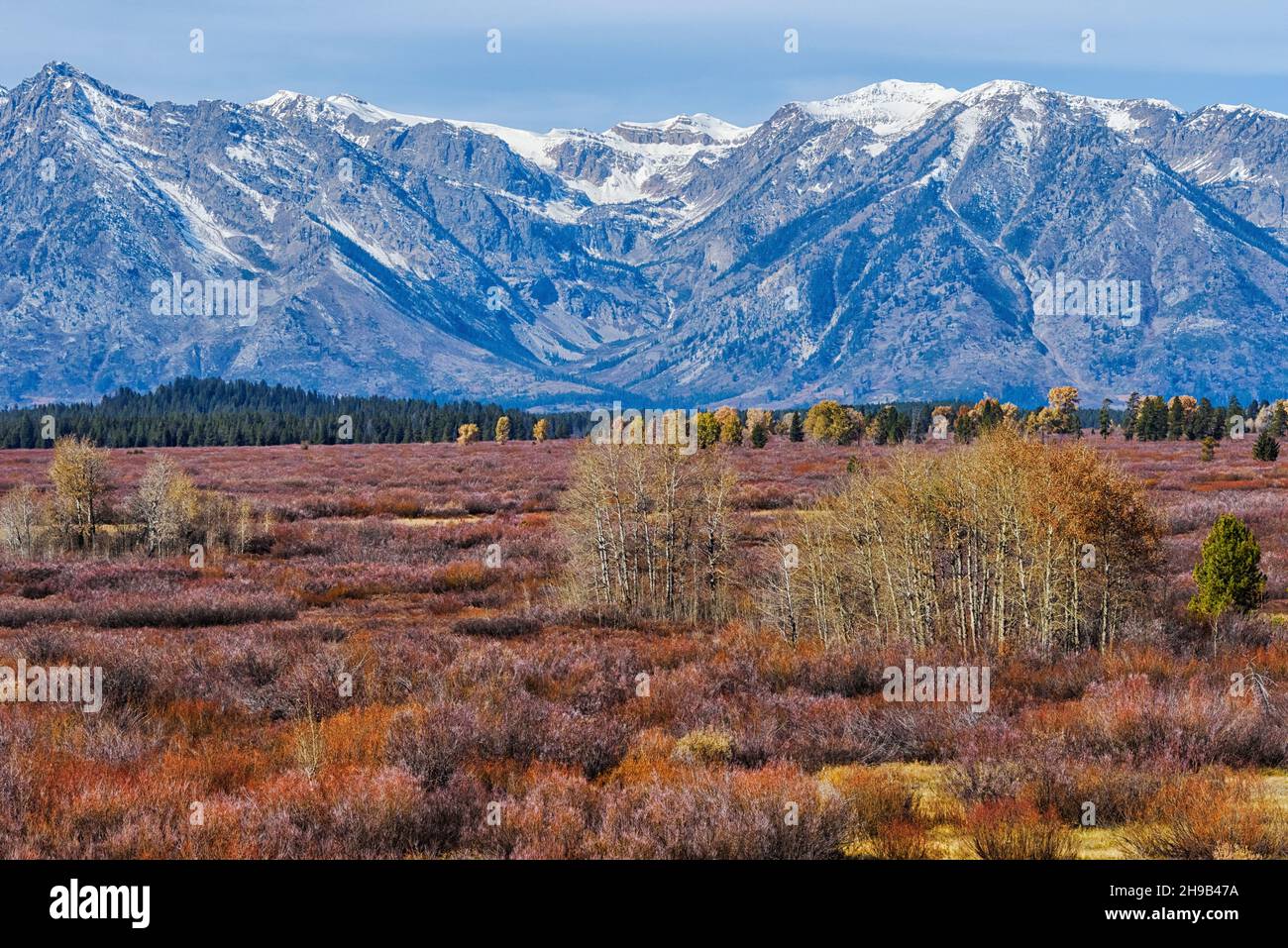 Grand Teton National Park, Wyoming State, USA Stockfoto