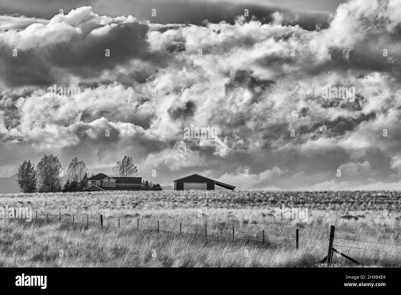Farmhaus mit Weizenland, östlicher Staat Washington, USA Stockfoto