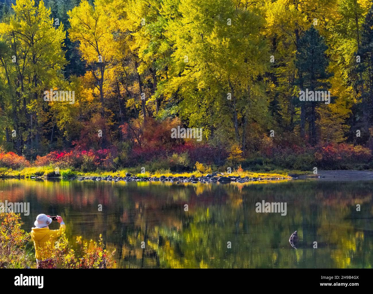 Touristen fotografieren Herbstlaub am Wenatchee River, Leavenworth, Washington State, USA Stockfoto
