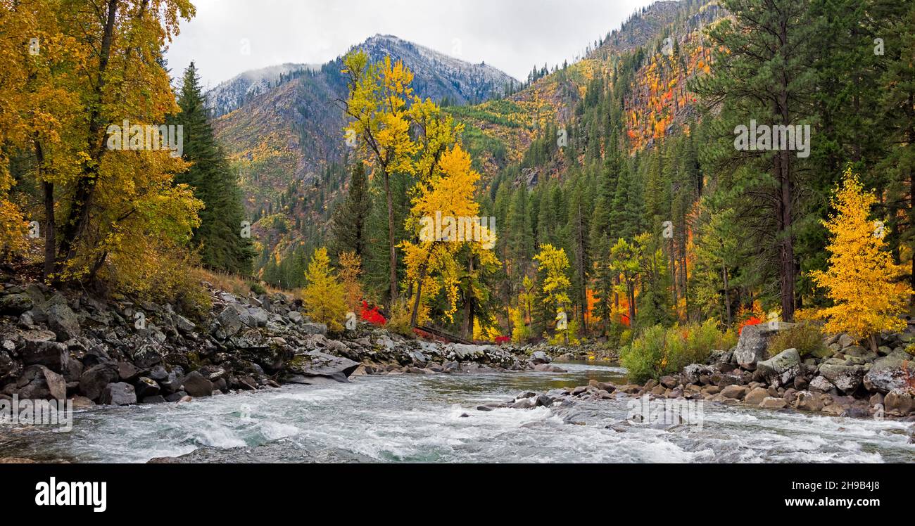 Herbstlaub am Wenatchee River, Leavenworth, Washington State, USA Stockfoto