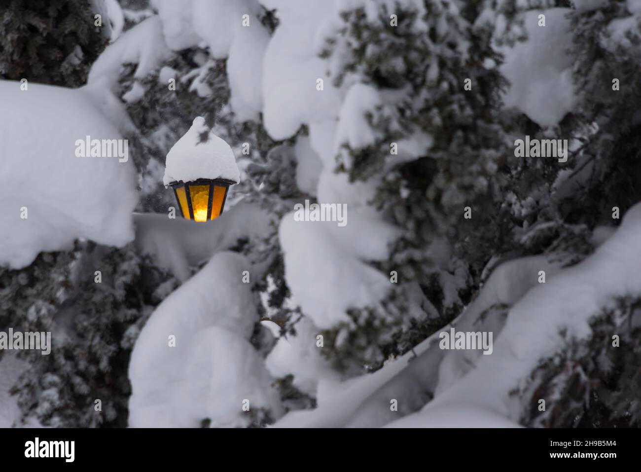 Mit Schnee bedeckte Laterne, Lake Louise, Banff National Park, Alberta, Kanada Stockfoto