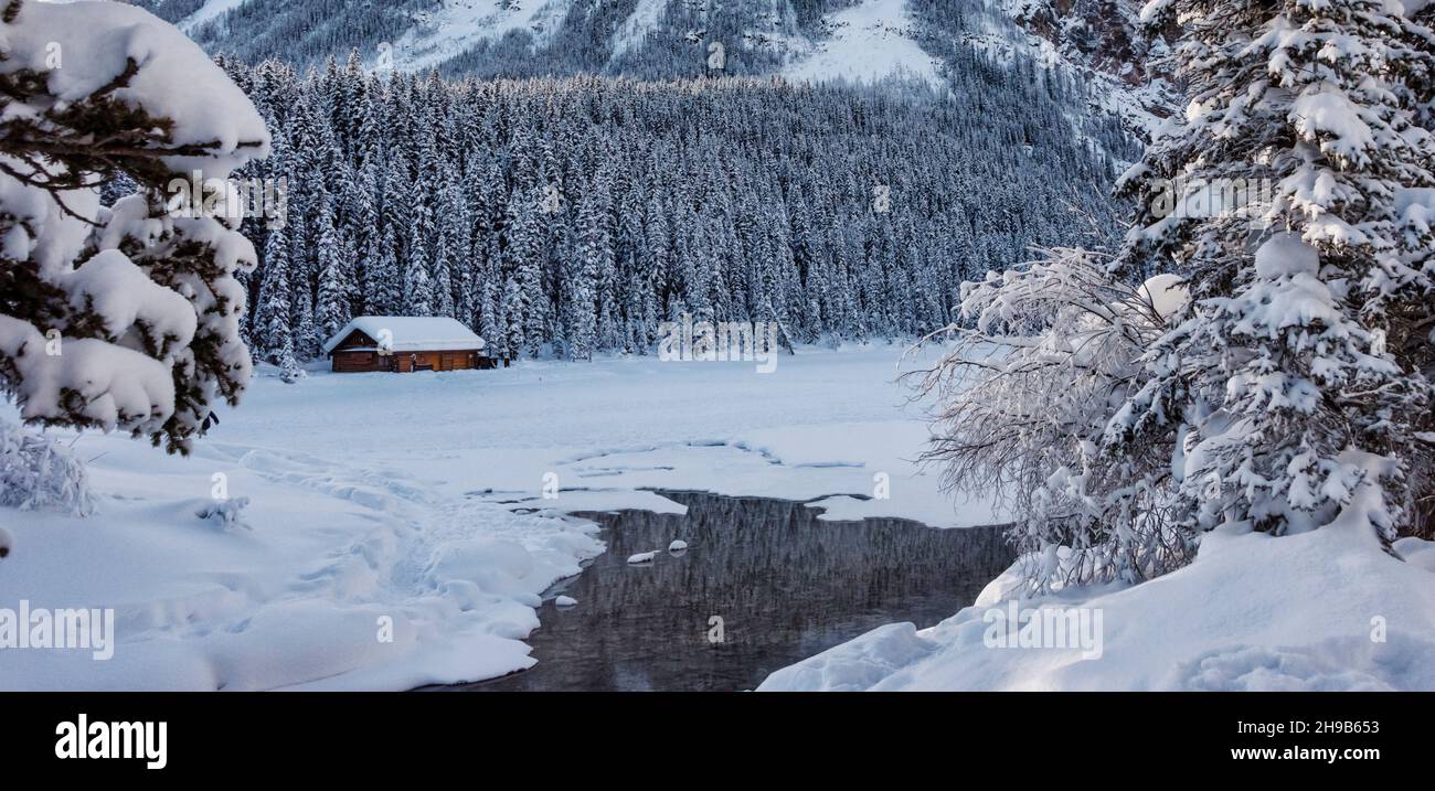 Hütte im schneebedeckten Wald, Lake Louise, Banff National Park, Alberta, Kanada Stockfoto