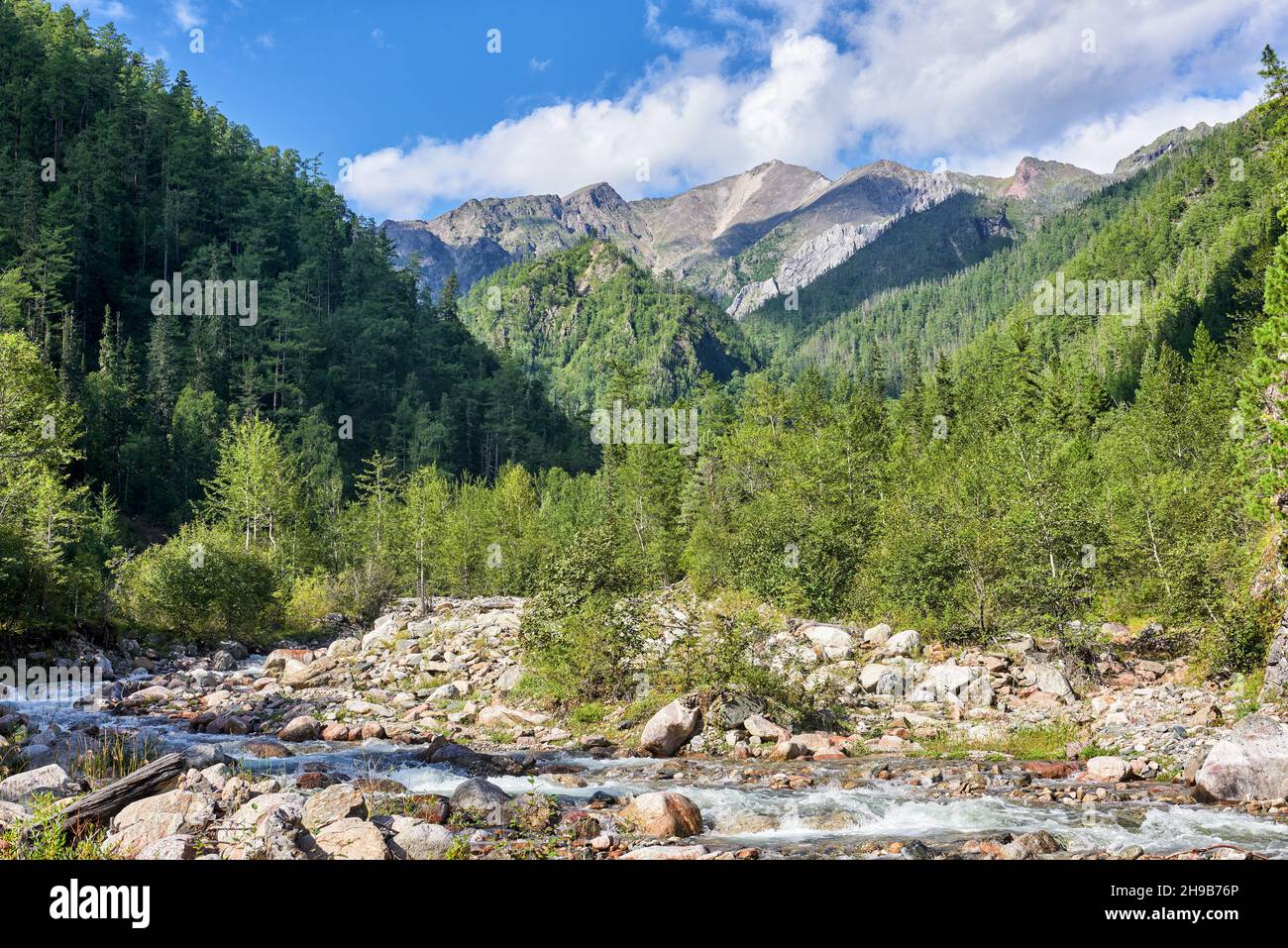 Bach in einem Bergtal in den sibirischen Bergen. Eastern Sayan Mountains. Burjatien. Russland Stockfoto