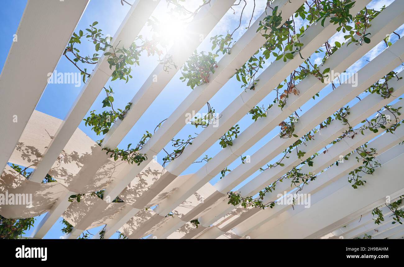 Pergola für Sommerterrasse und Sonnenschutz. Stockfoto