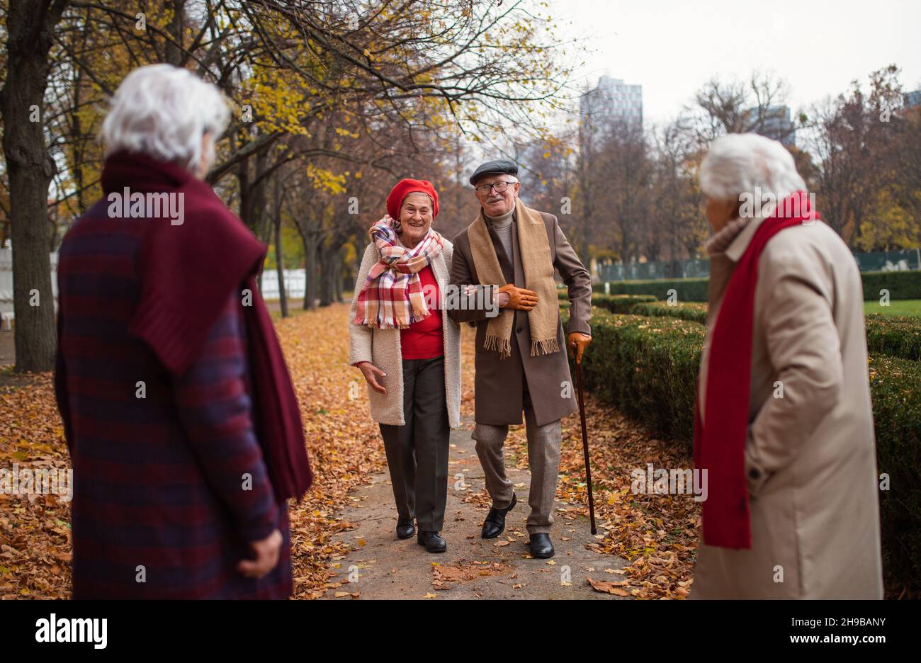Fröhliches, elegantes Paar, das im Herbst Freunde auf einem Spaziergang im Park trifft. Stockfoto
