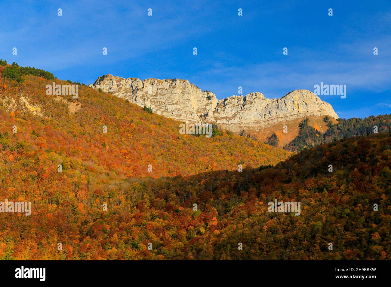 Alpen im Herbst (oder Herbst), Berge und goldene Bäume. Stockfoto
