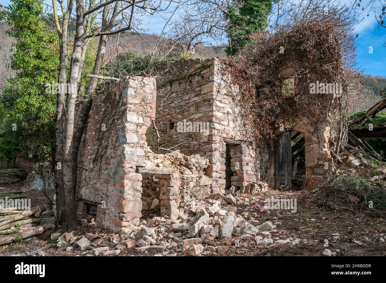 Aboned Haus in der Mitte des Waldes, das Guilleries Massif, Katalonien, Spanien Stockfoto