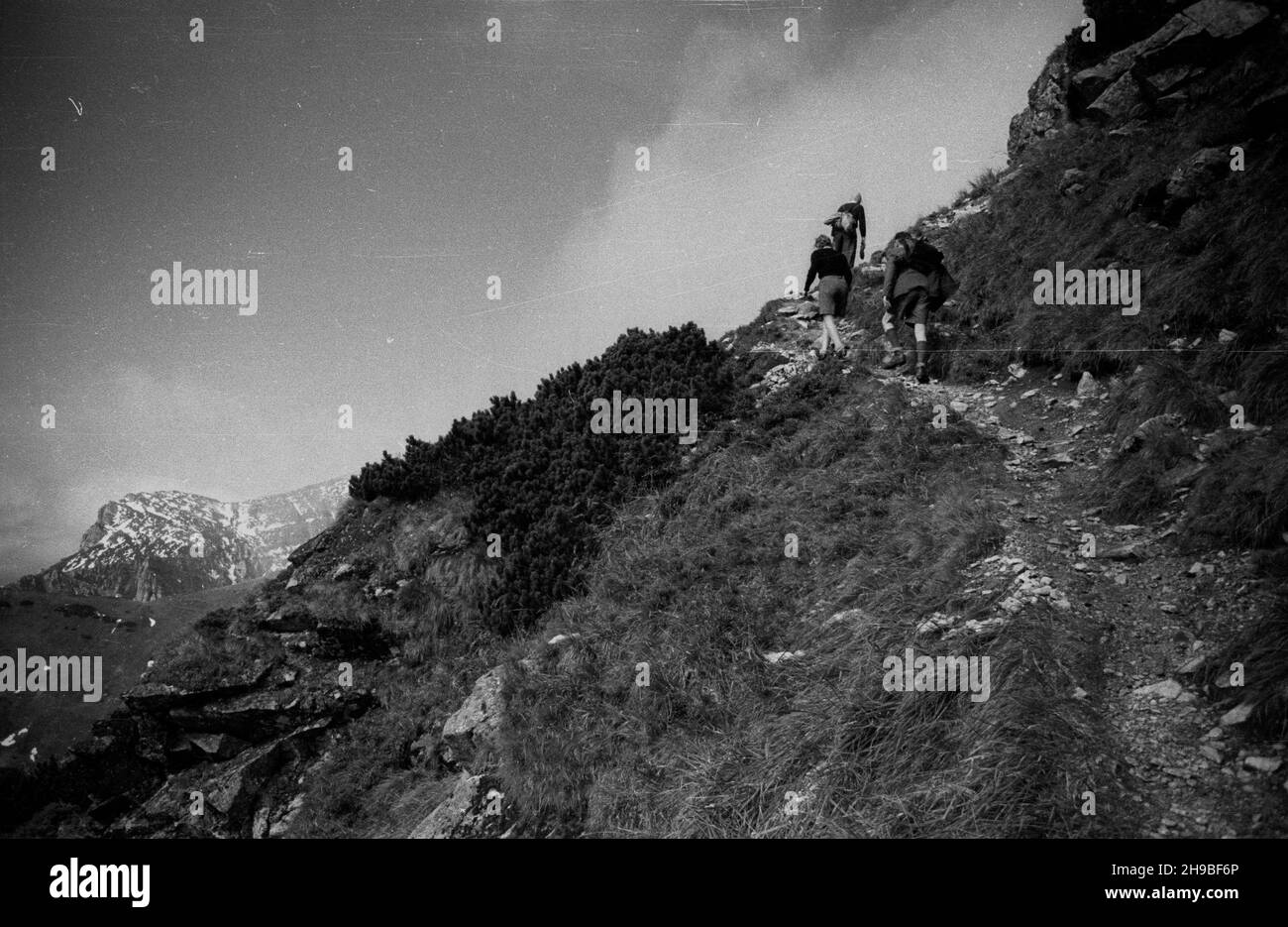 Zakopane, 1947-09. Tatry Zachodnie. NZ. turyœci na szlaku z KuŸnic na szczyt Kasprowy Wierch. Z lewej widoczne Uhrocie Kasprowe. po/mgs PAP Dok³adny dzieñ wydarzenia nieustalony. Zakopane, September 1947. Westliche Tatra. Im Bild: Touristen, die den Kasprowy Wierch Berg besteigen. po/mgs PAP Stockfoto