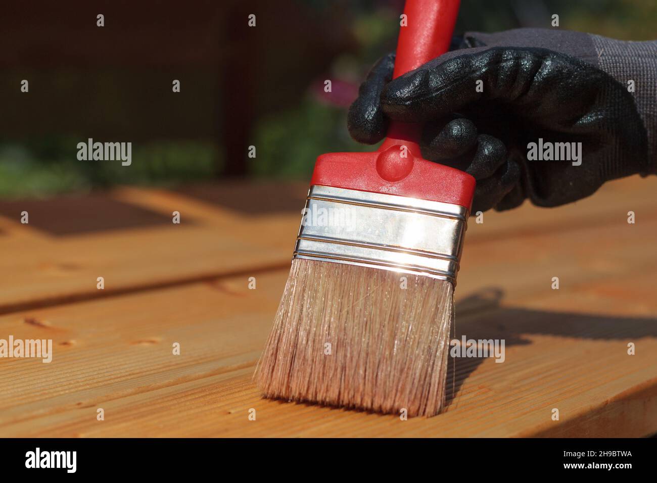 Bemalen oder Färben von Holzterrassenböden. Roter Pinsel, Nahaufnahme. Stockfoto