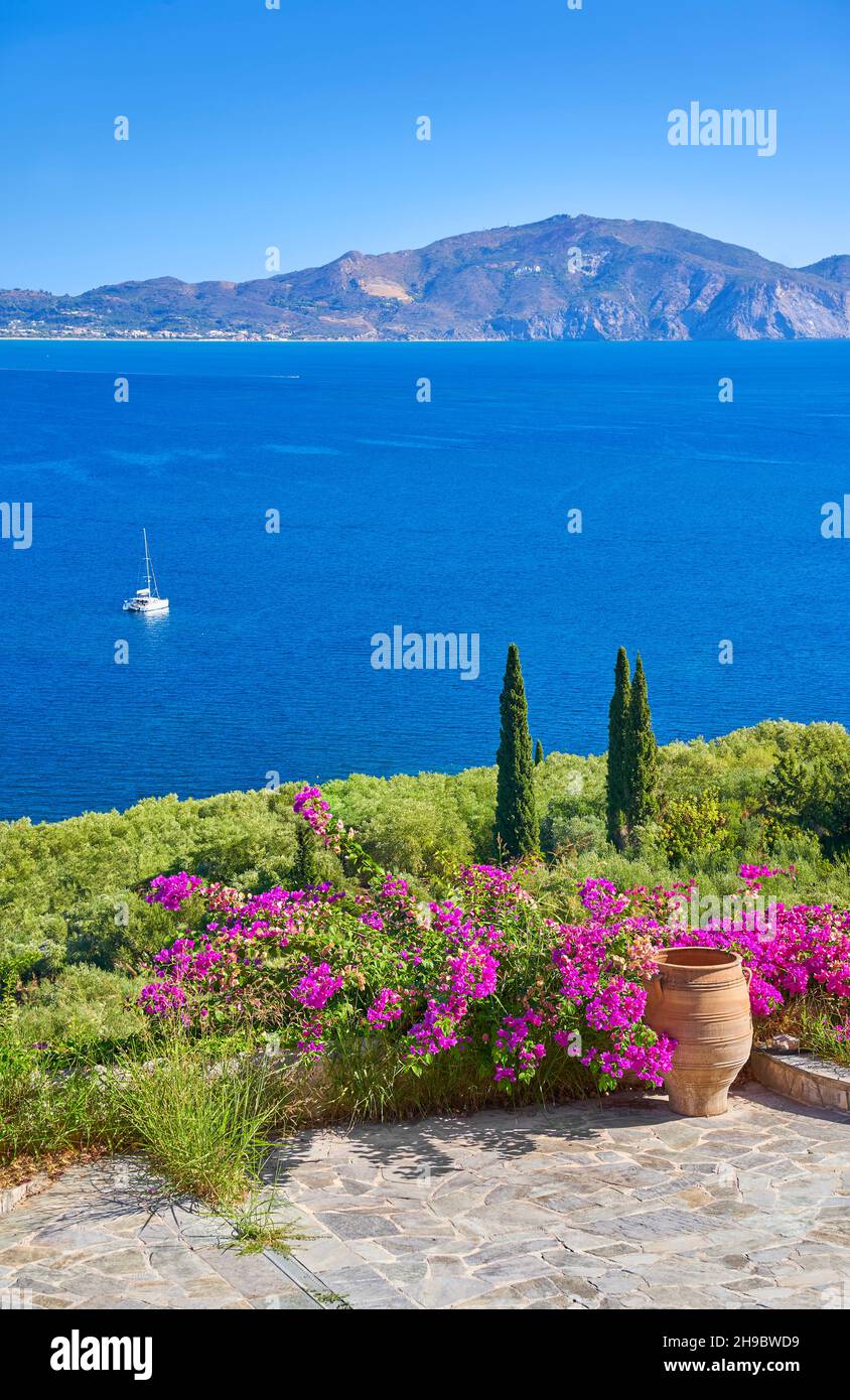 Blumen im Garten, Keri Bay, Zakynthos Island, Griechenland Stockfoto