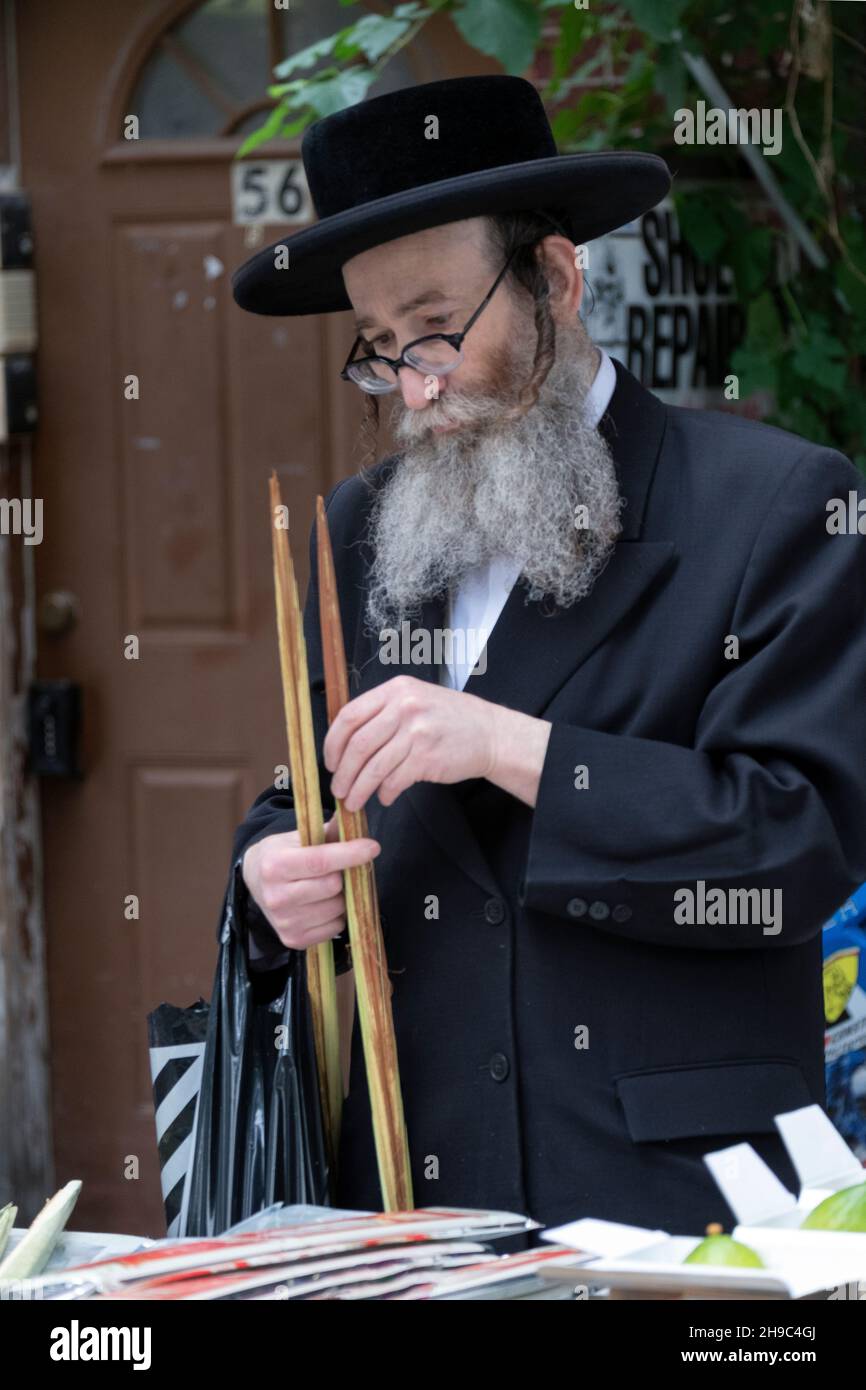 Vor Sukkot inspiziert ein orthodoxer Jude, wahrscheinlich ein Rabbi, eine Palmwedel, die in Feiertagsritualen verwendet wird. An der Lee Ave. In Williamsburg, Brooklyn. Stockfoto