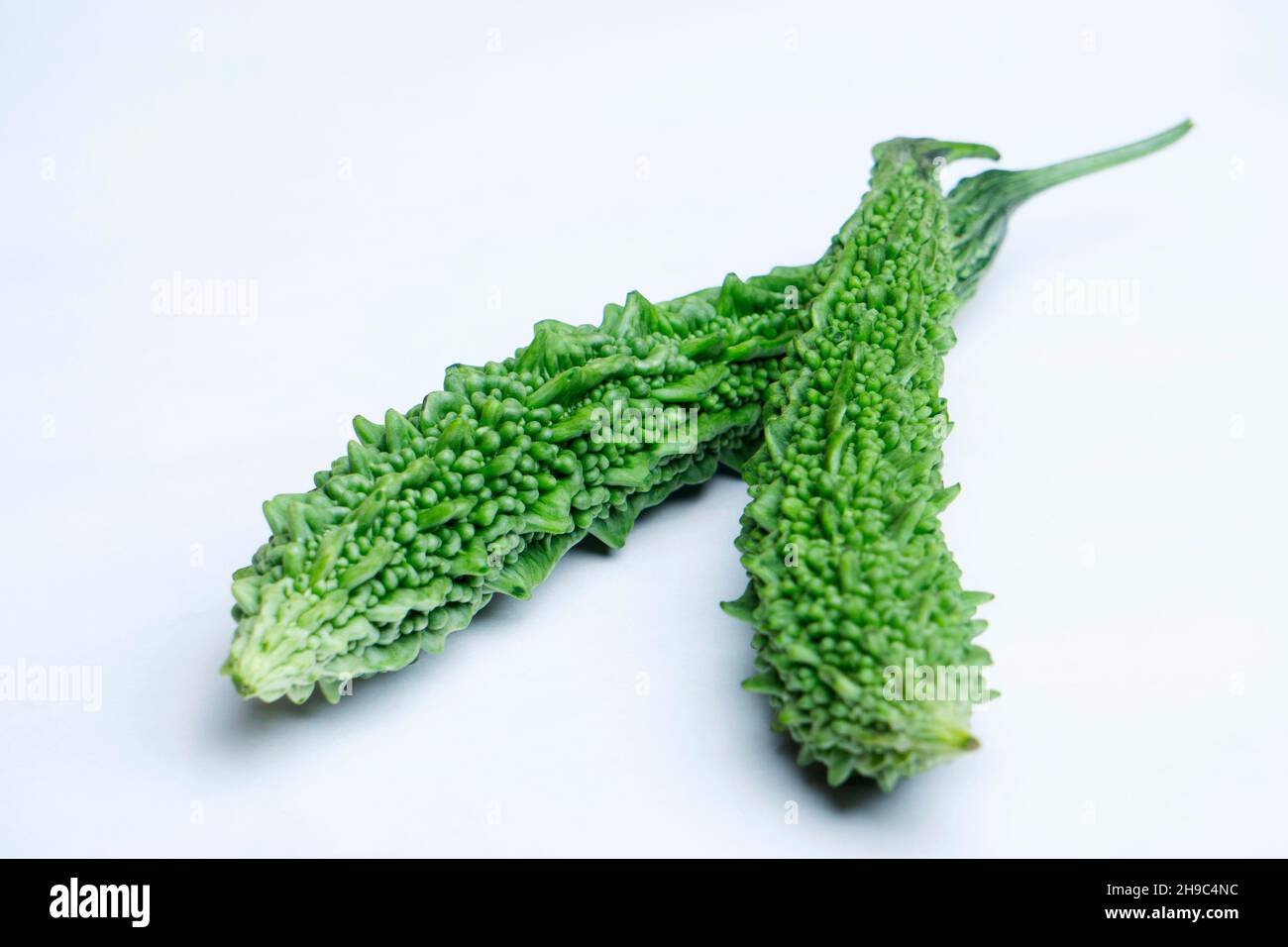 Bittermelone, Momordica charantia oder Bitterkürbis auf weißem Hintergrund, Satara, Maharashtra, Indien Stockfoto
