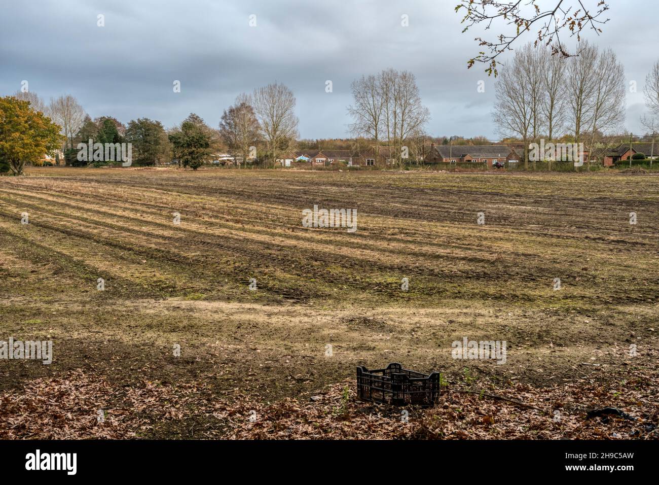 Rand des Dorfes Snettisham - die Grenze zwischen Wohnen und Landwirtschaft. Stockfoto