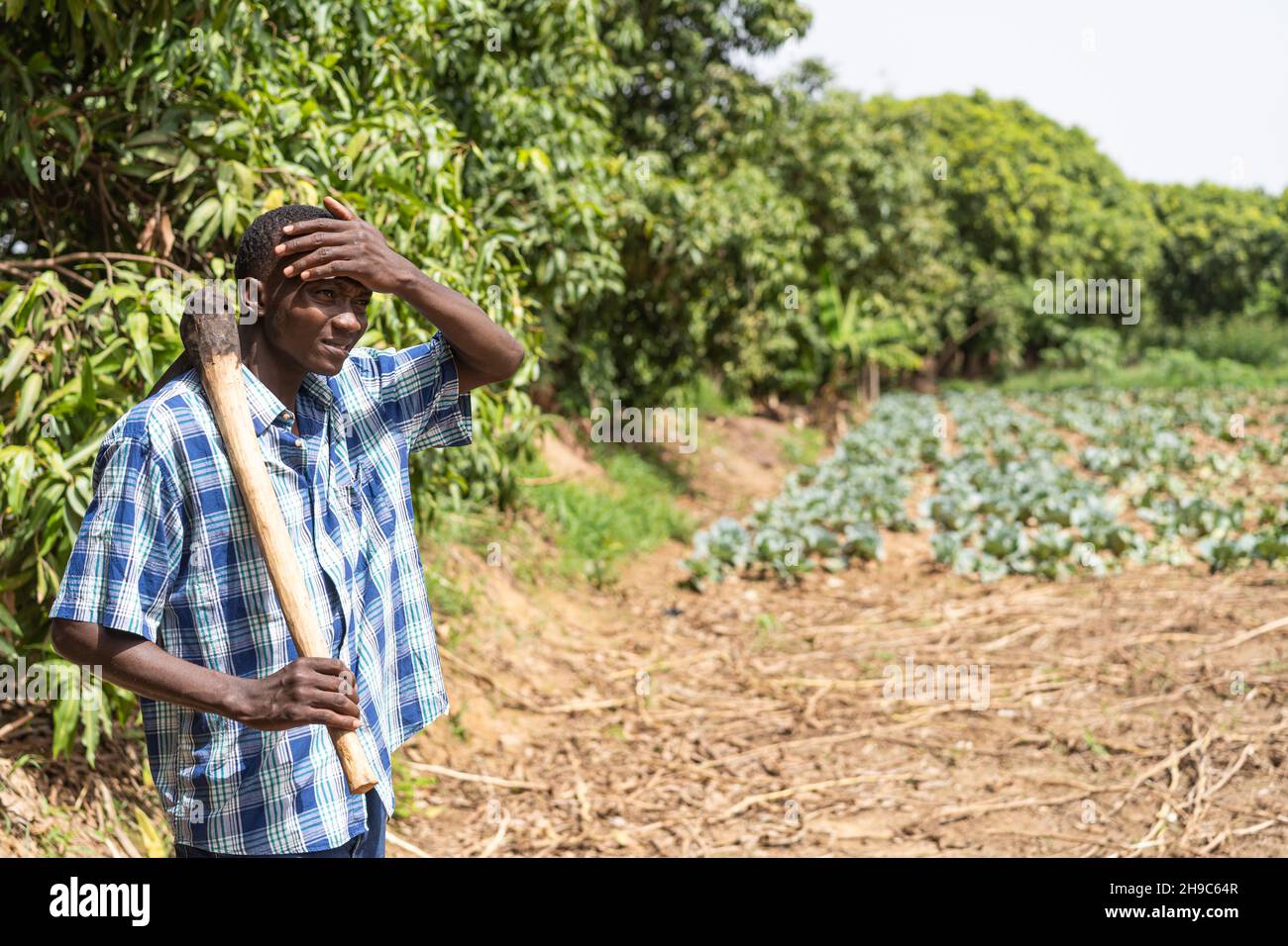 Junger afrikanischer Farmarbeiter mit einer Hacke auf der Schulter und Blick über sein Feld, der seine Augen vor der blendenden Sonne schützt Stockfoto