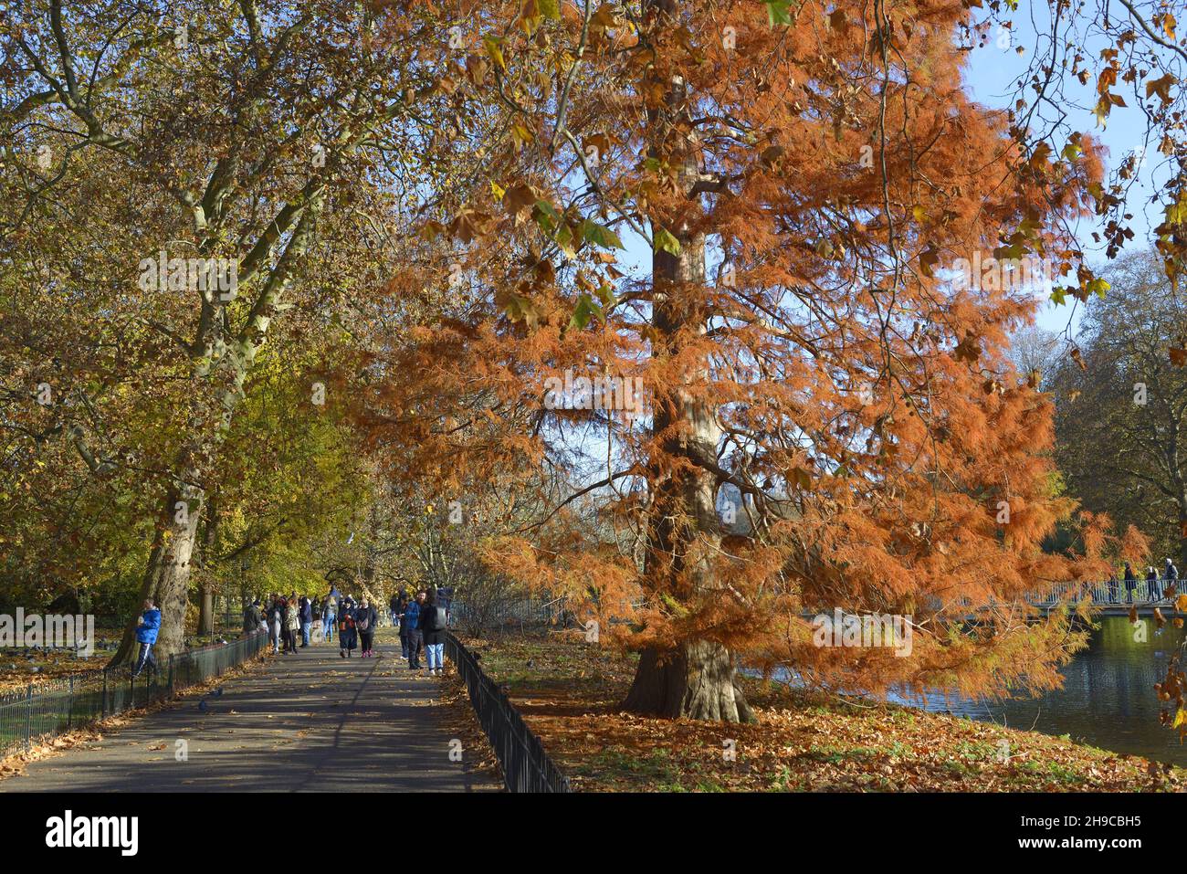 London, England, Großbritannien. Herbst im St James's Park, November 2021 Stockfoto