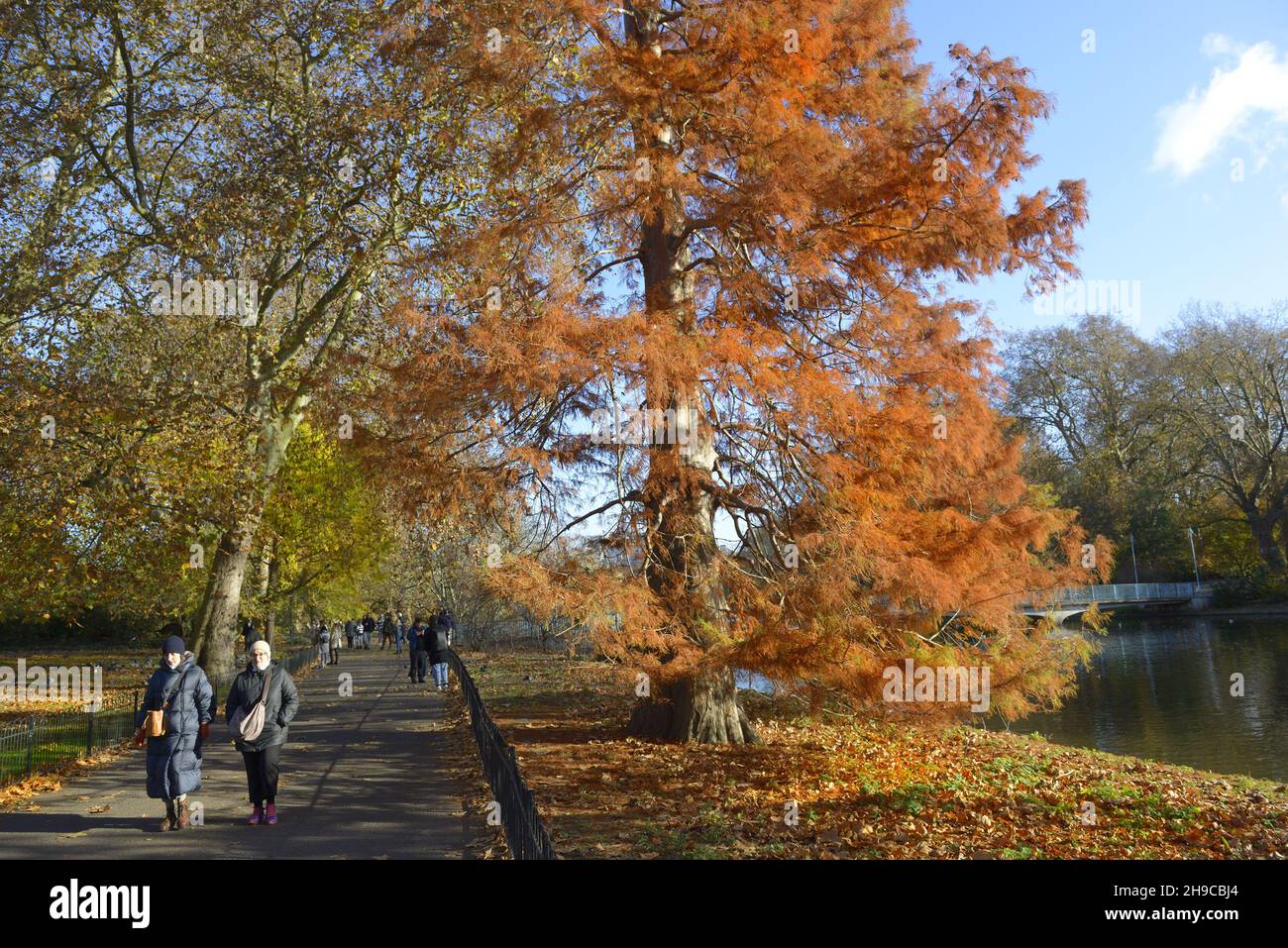 London, England, Großbritannien. Herbst im St James's Park, November 2021 Stockfoto
