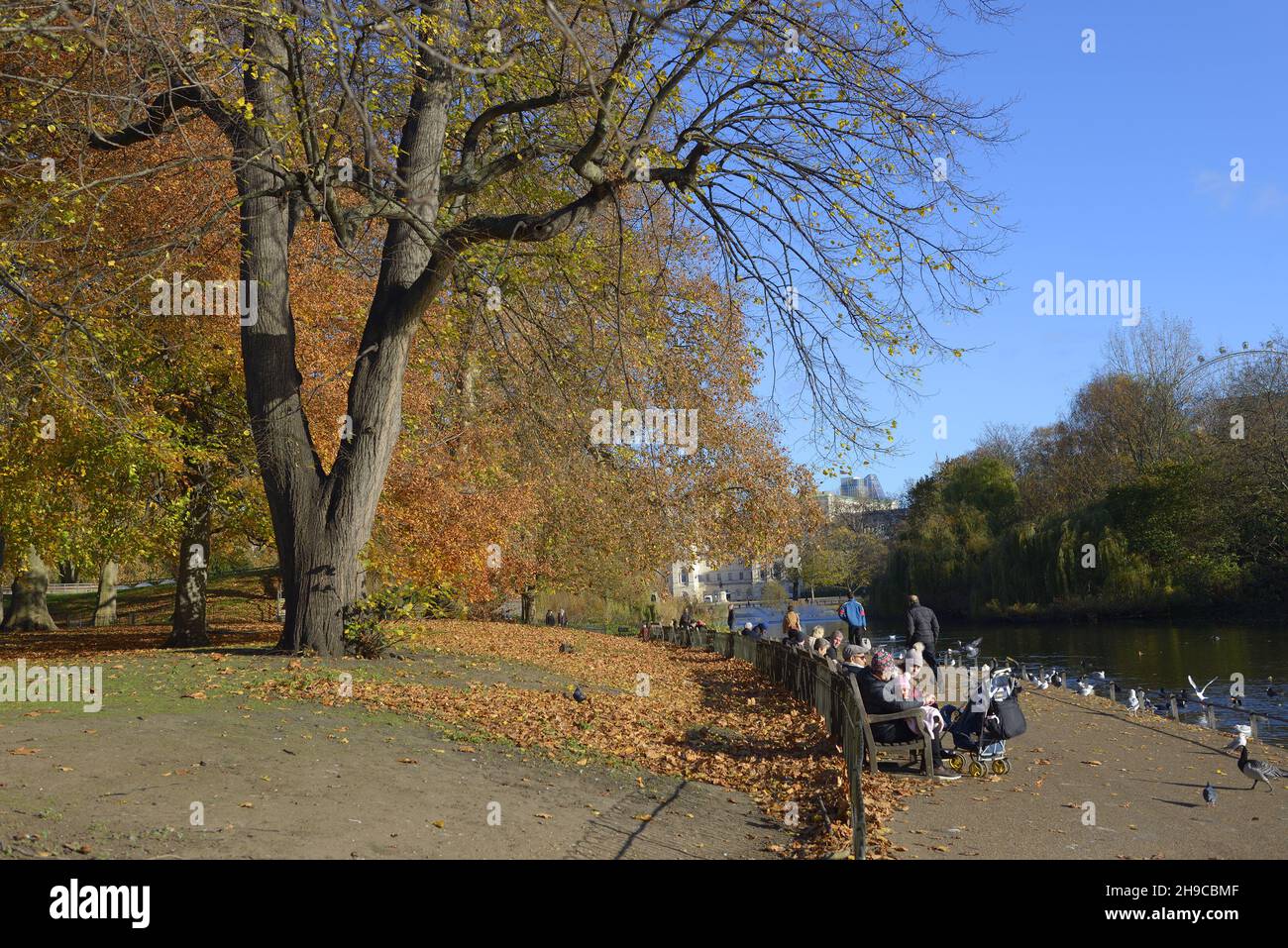 London, England, Großbritannien. Herbst im St James's Park, November 2021 Stockfoto