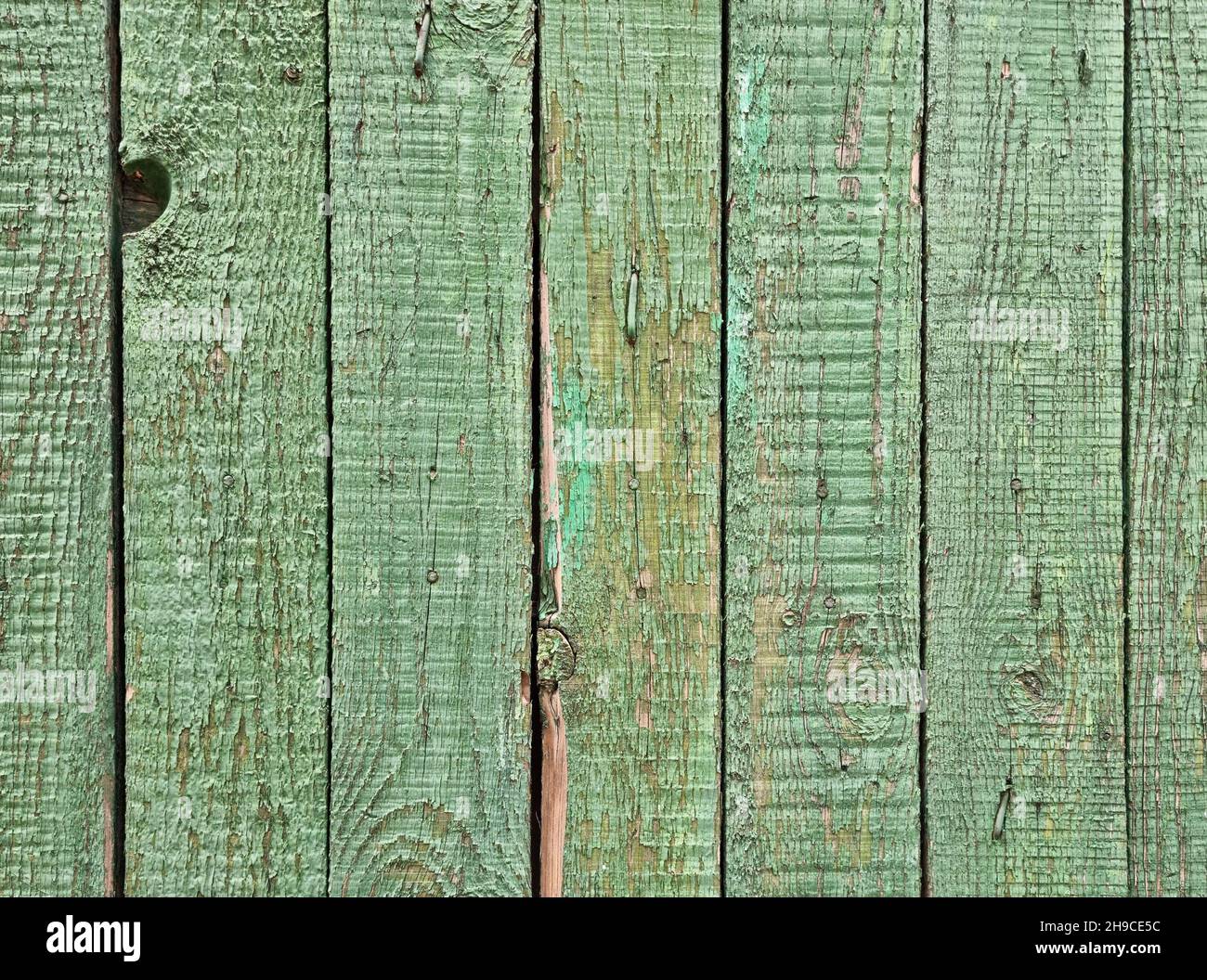 Raue alte Holzplanken in grüner Farbe als Texturhintergrund lackiert Stockfoto