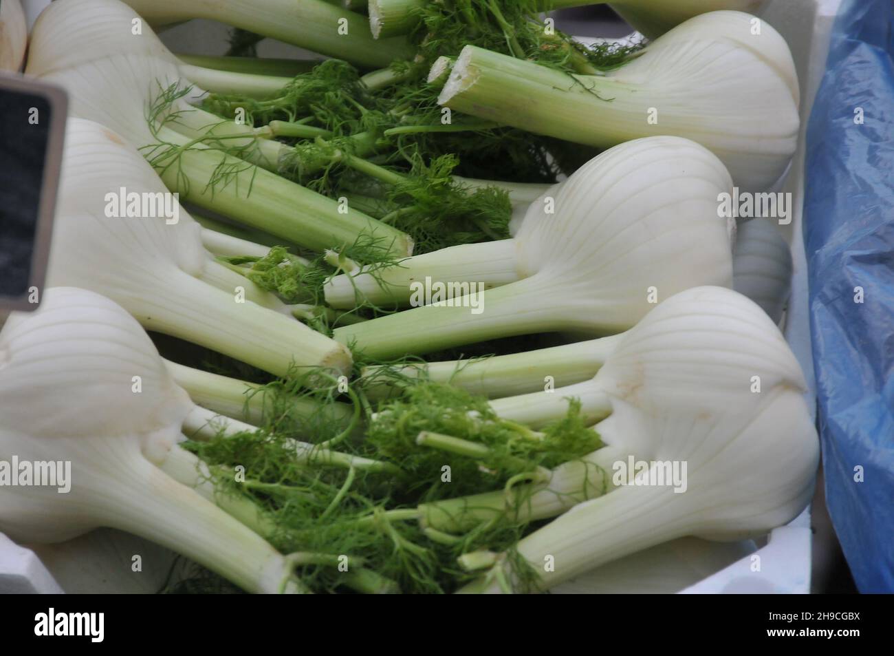 Kopenhagen, Dänemark.,06. Dezember 2021, /Gemüse- und Obstkunden bei Obst und Gemüse in Torvhallerne in der dänischen Hauptstadt.(Foto..Francis Joseph Dean/Dean Pictions) Stockfoto