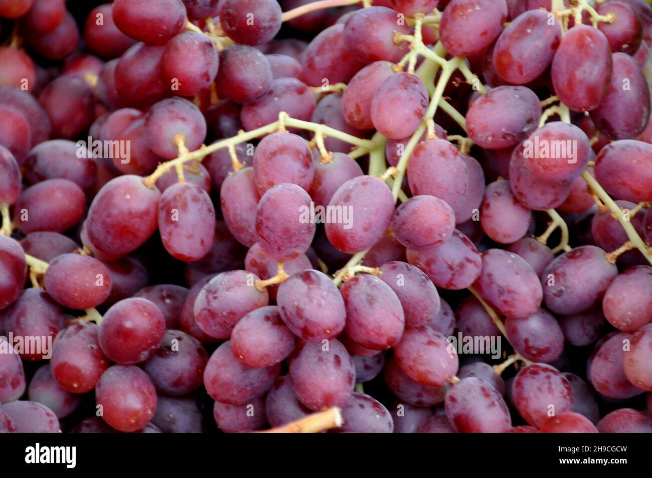 Kopenhagen, Dänemark.,06. Dezember 2021, /Gemüse- und Obstkunden bei Obst und Gemüse in Torvhallerne in der dänischen Hauptstadt.(Foto..Francis Joseph Dean/Dean Pictions) Stockfoto