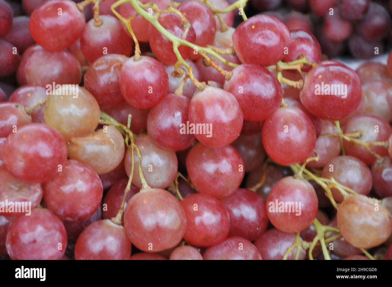 Kopenhagen, Dänemark.,06. Dezember 2021, /Gemüse- und Obstkunden bei Obst und Gemüse in Torvhallerne in der dänischen Hauptstadt.(Foto..Francis Joseph Dean/Dean Pictions) Stockfoto