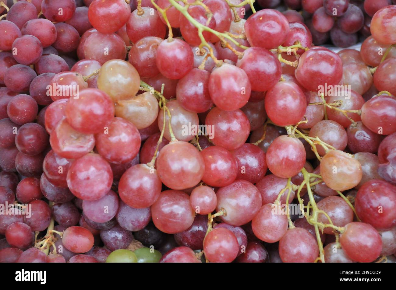 Kopenhagen, Dänemark.,06. Dezember 2021, /Gemüse- und Obstkunden bei Obst und Gemüse in Torvhallerne in der dänischen Hauptstadt.(Foto..Francis Joseph Dean/Dean Pictions) Stockfoto