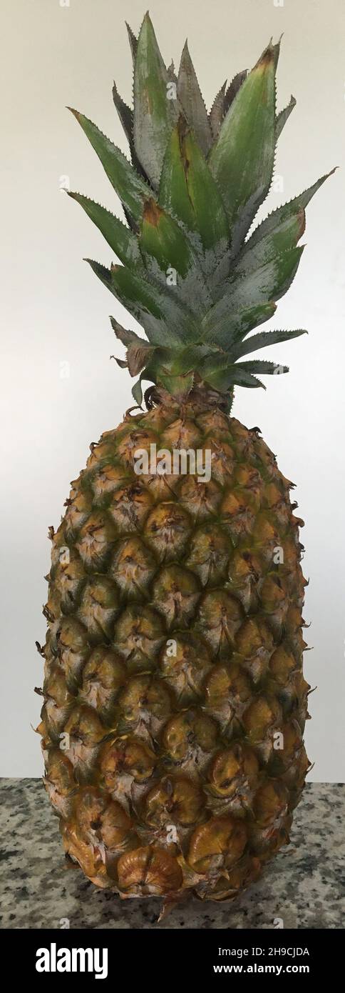 Sommerfrüchte. Nahaufnahme einer Ananas Stockfoto