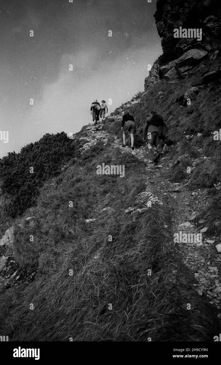 Zakopane, 1947-09. Tatry Zachodnie. NZ. turyœci na szlaku z KuŸnic na szczyt Kasprowy Wierch. po/mgs PAP Dok³adny dzieñ wydarzenia nieustalony. Zakopane, September 1947. Westliche Tatra. Im Bild: Touristen, die den Kasprowy Wierch Berg besteigen. po/mgs PAP Stockfoto