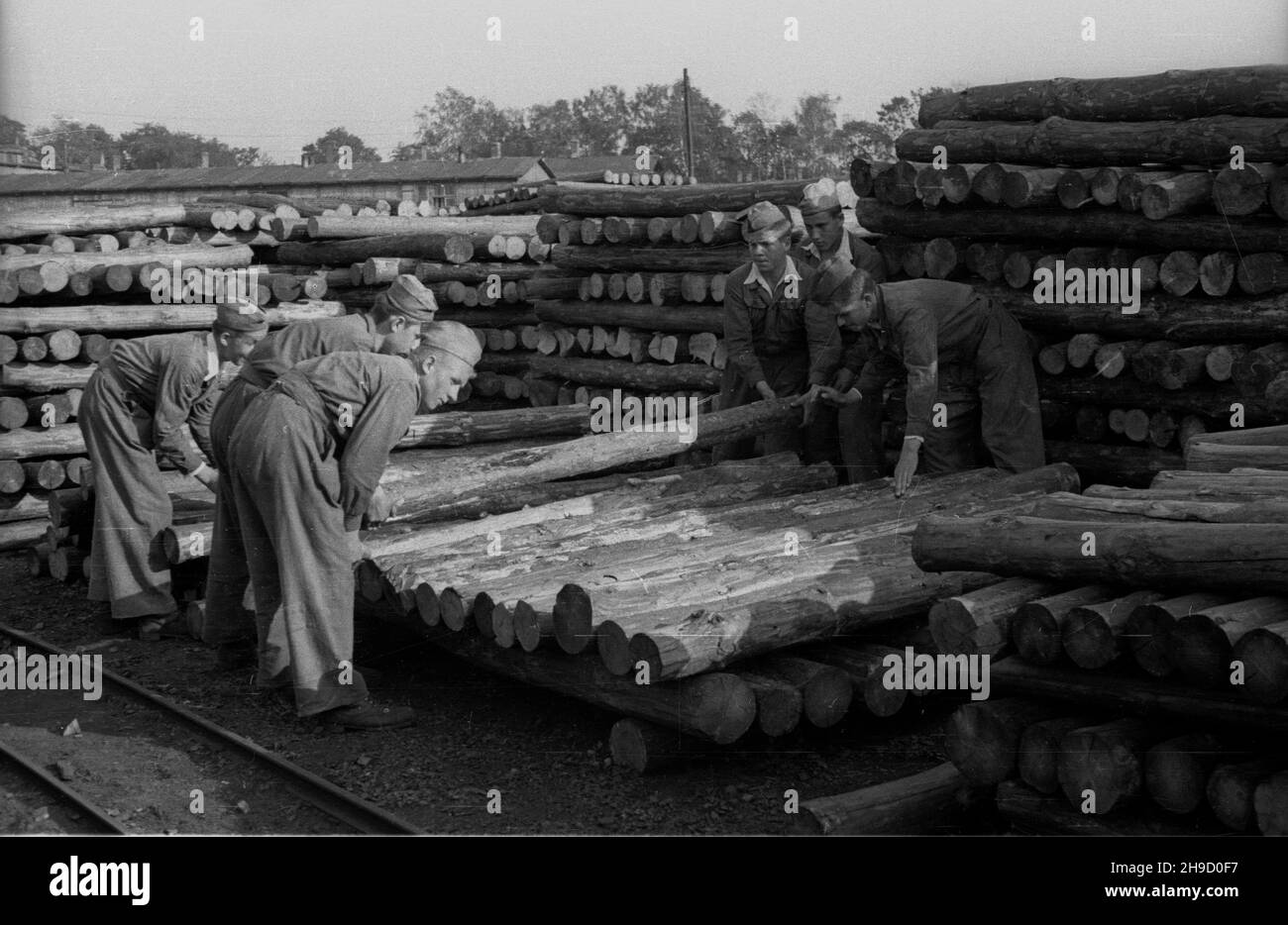 Zabrze, 1947-09. Uczniowie Szko³y Przysposobienia Przemys³owego nr 4 kszta³c¹cej na potrzeby Ministerstwa Przemys³u i Handlu. NZ. prace przy produkcji drewnianych stempli do chodników na terenie kopalni wêgla kamiennego Makoszowy. bk/mgs PAP Dok³adny dzieñ wydarzenia nieustalony. Zabrze, September 1947. Berufsschule für die Industrie Nr. 4, die junge Bergleute für die Bedürfnisse des Industrie- und Handelsministeriums unterrichtet. Im Bild: Ausbildung in der Steinkohlemine Makoszowy. bk/mgs PAP Stockfoto