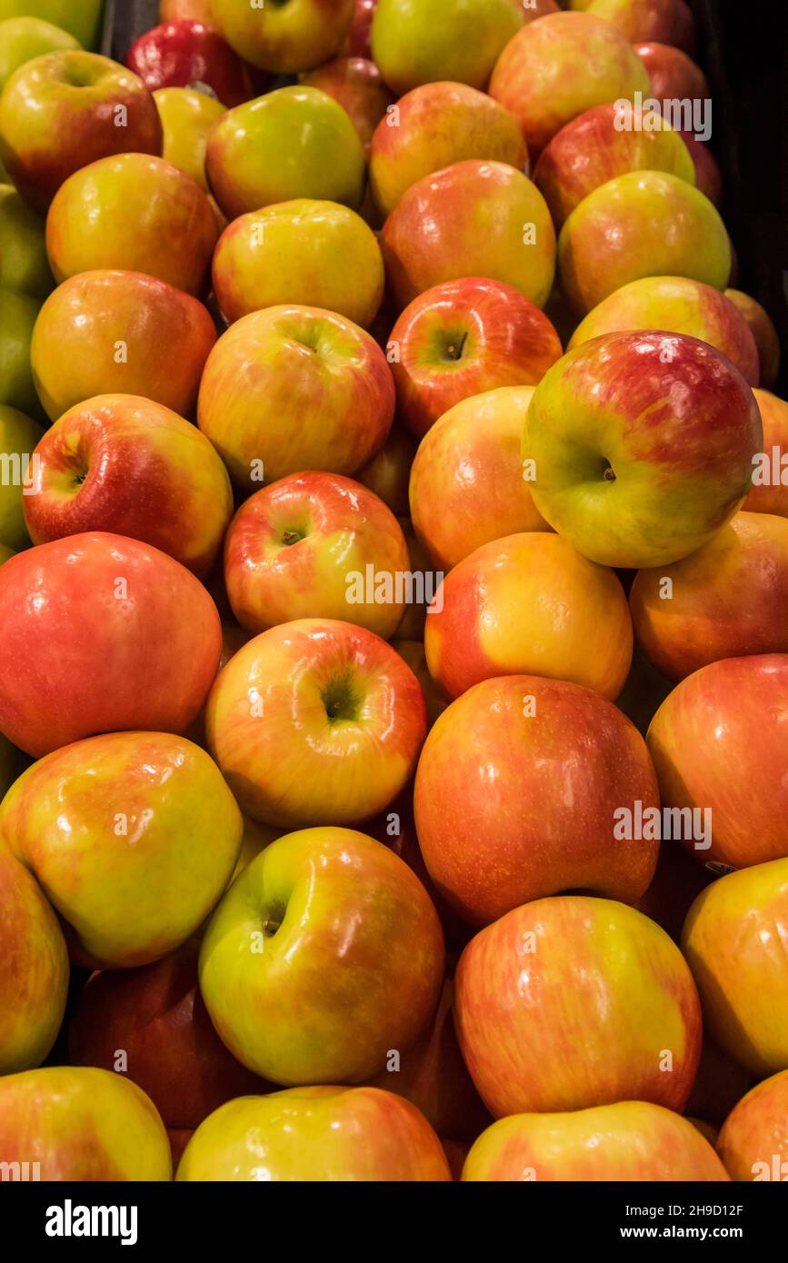 Honeycrisp Äpfel zum Verkauf in einem Lebensmittelgeschäft in North Central Florida. Stockfoto