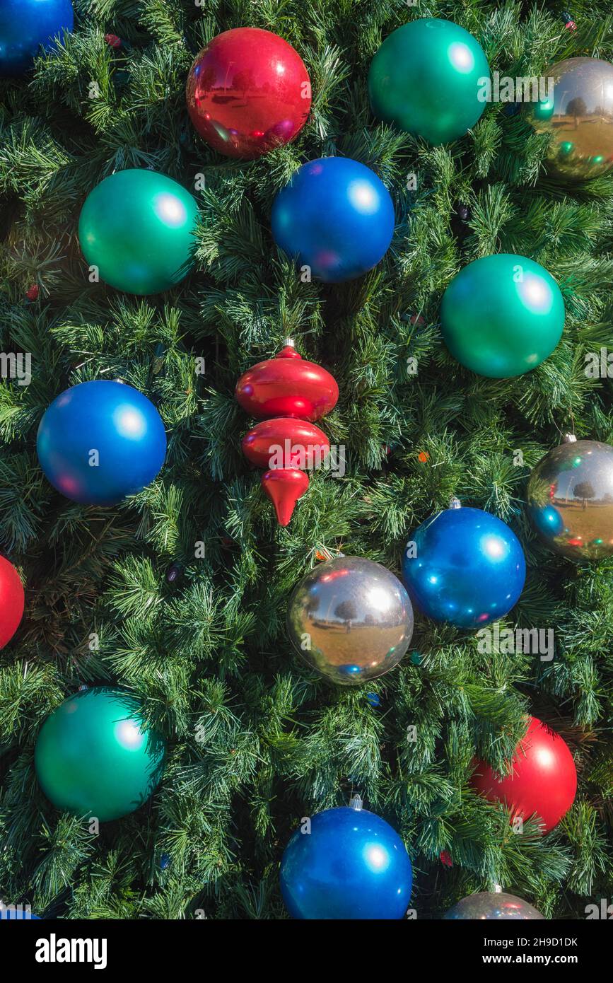 Öffentlicher Weihnachtsbaum wird in Alachua, Florida, dekoriert. Stockfoto