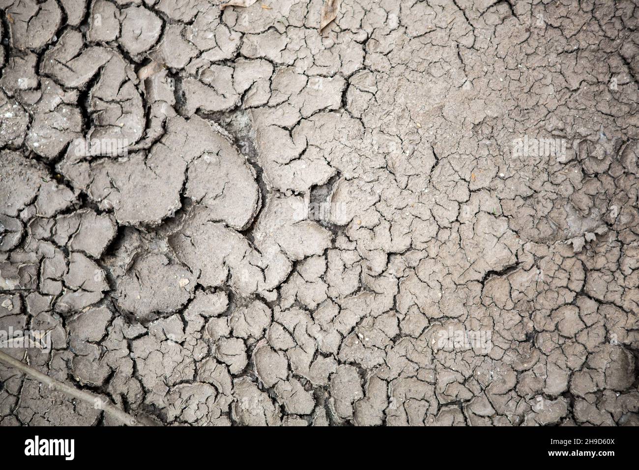 Trockene rissige Erde. Hintergrundbild von Rissen in trockenem Land Stockfoto