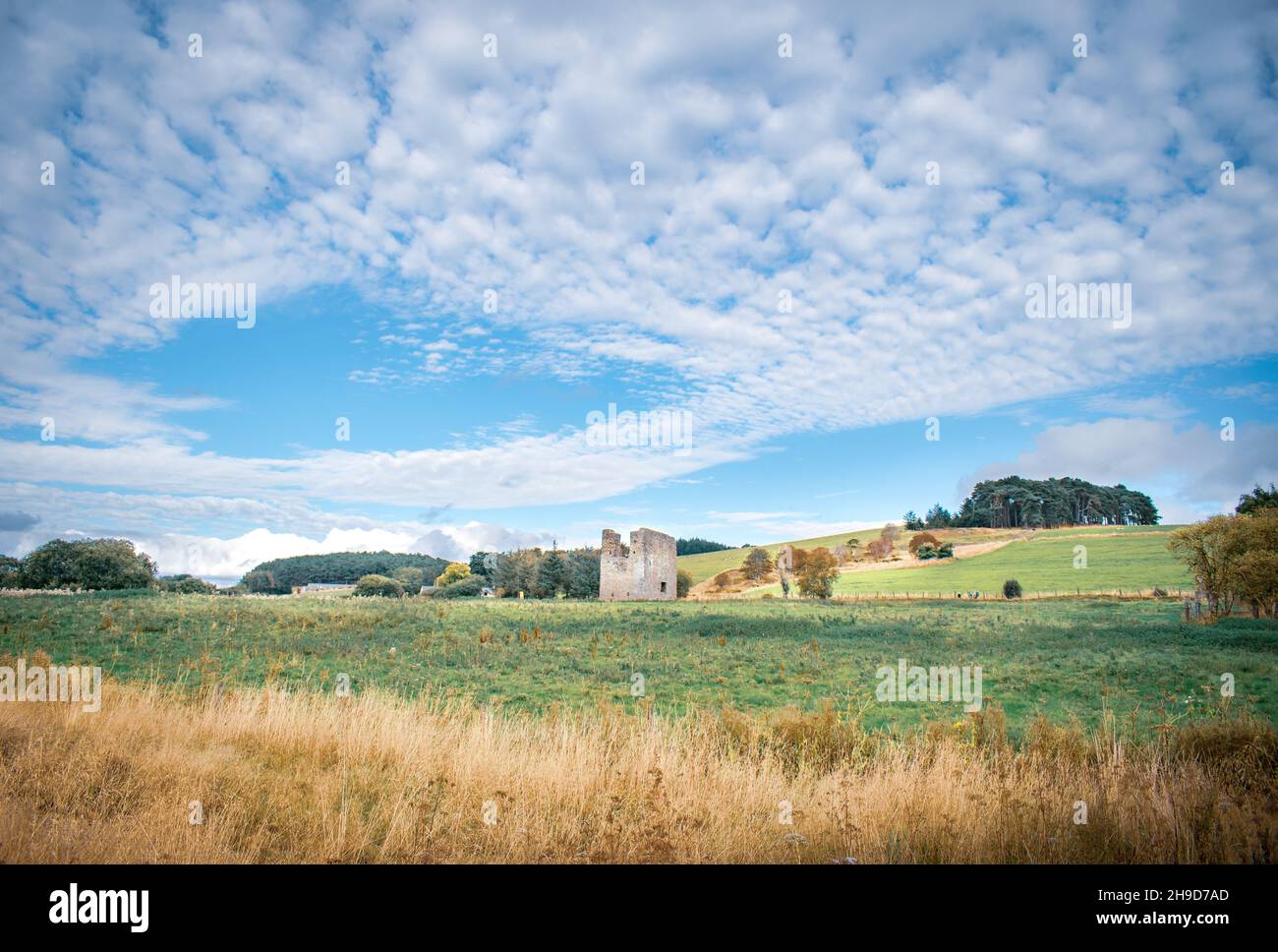 Sommerwanderungen auf Roundton Hill, Wales Stockfoto