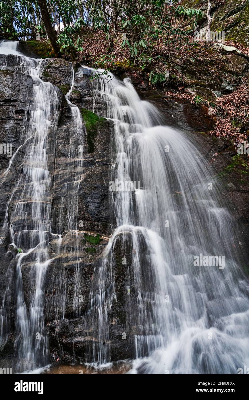 Falling in the Smokies Stockfoto