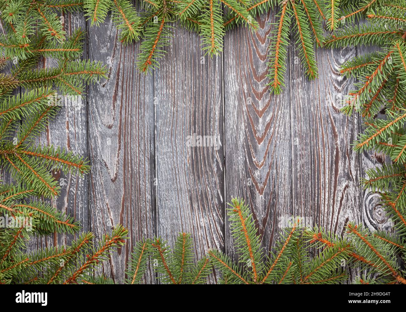 weihnachtsbaum Tannenzweige auf Holz Stockfoto