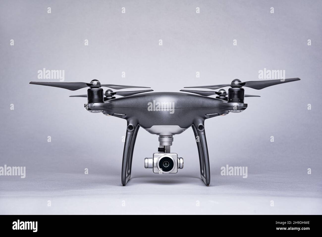 Dunkles Brummen auf grauem Hintergrund. Stockfoto