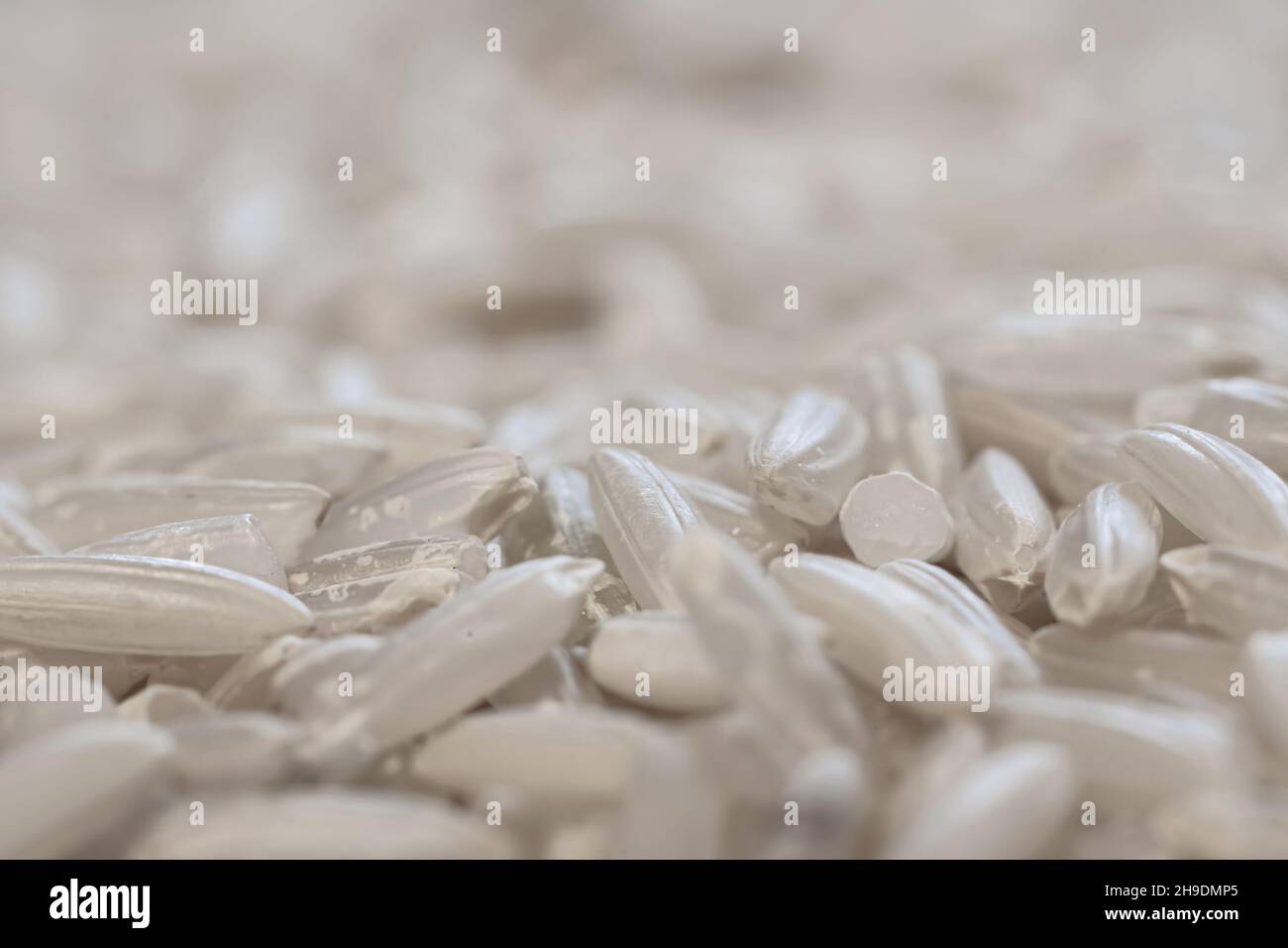 Makroaufnahme von Reiskörnern mit unscharfem Hintergrund Stockfoto